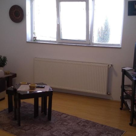 Apartment Vojinovic Arandelovac Buitenkant foto